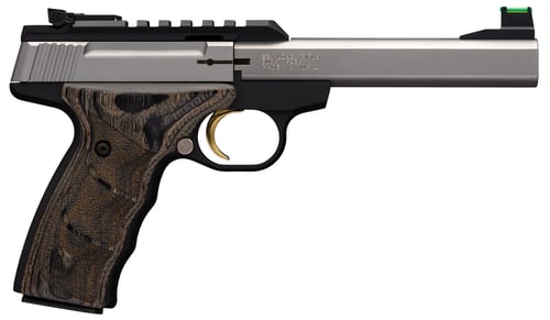 BUCKMARK PLUS UDX 22LR SS 5.5