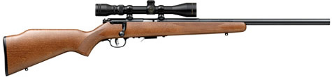 SAVAGE 93R17-GVXP .17HMR 21