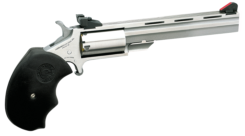 NAA Mini-Master Target Revolver