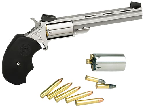 NAA Mini-Master Target Revolver Combo