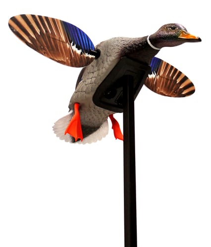 MOJO ELITE SERIES MINI MALLARD DRAKE DECOY