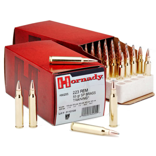 HRNDY 223REM 55GR SP 50/500