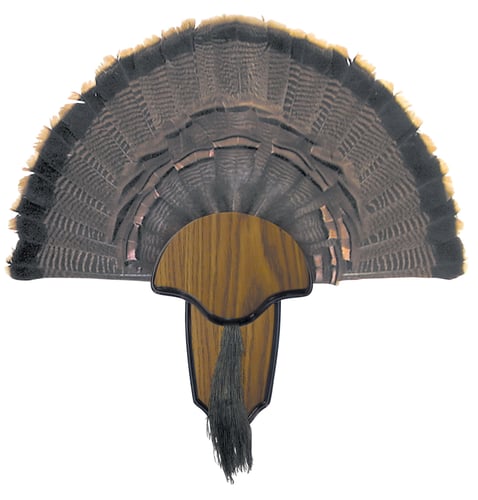 Hunters Specialties Turkey Mount Kit  <br>  Tail & Beard