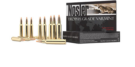 Nosler 60028 Trophy Grade Varmint 223 Remington 55 GR E-Tip 20 Bx/ 10 Cs