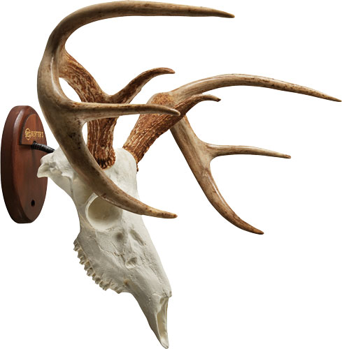 Hunters Specialties 01638 European Skull Deer Mounting Kit