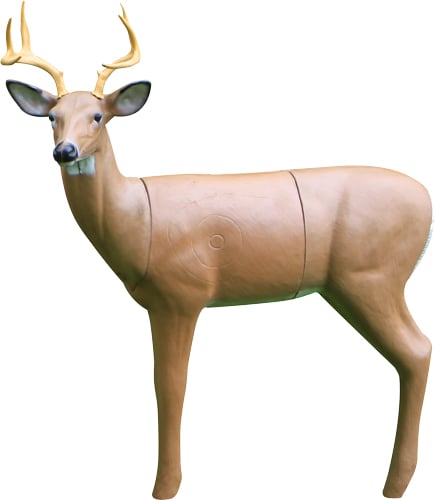 Real Wild Medium Sneak Deer Target  <br>