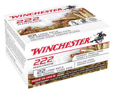 WINCHESTER 22LR 36GR LEAD HP 222RD 10BX/CS CASE LOT