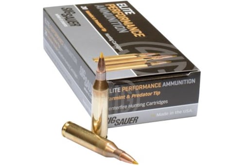 SIG 243 WINCHESTER 90GR ELITE TIPPED HUNTING 20RD 10BX/CS<