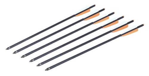 CenterPoint Carbon Crossbow Bolts  <br>  20 in. 6 pk.