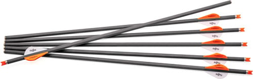 CenterPoint CP 400 Crossbow Bolts  <br>  6 pk.