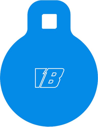 BASH TARGET AR500 GONG TARGET ROUND 4