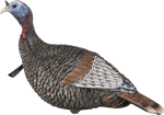 Flextone Thunder Jake Turkey Decoy  <br>