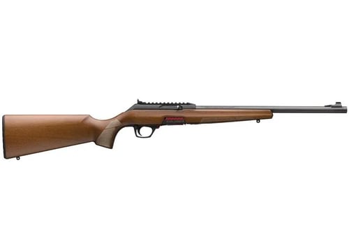 WINCHESTER WILDCAT SPORTER .22LR 16.5