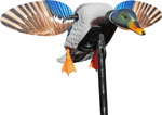 MOJO Elite Series Spinning Wing Motion Decoy - Mini Mallard Drake